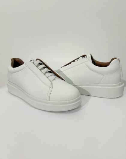 1. Y258 white